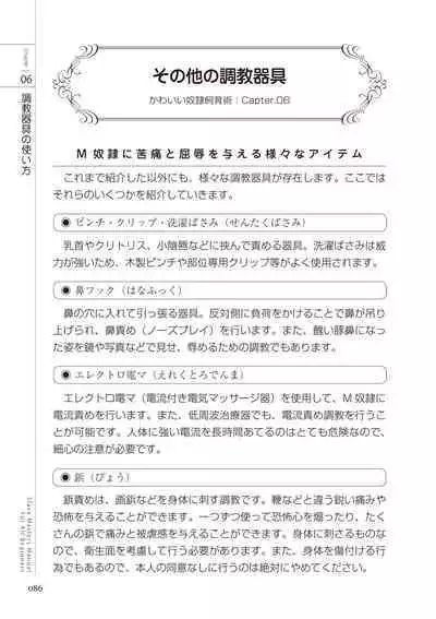 Zero kara Hajimeru SM Manual Kawaii Dorei Shiikujutsu