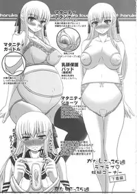 [Shiawase Kyouwakoku (Shiawase no Katachi)] Katashibu 25-shuu [English] [SaHa]