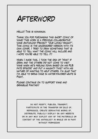 Vice-Captain's Duty | 副团长的职责