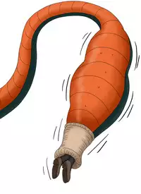 セルの丸呑み吸収