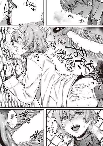 Boku no Daisuki na Mesu