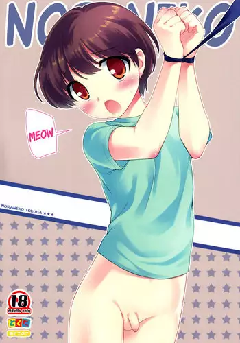 (C84) [Tokuda (Ueda Yuu)] Noraneko [English] {Hataraki Bachi Translations} [Decensored]