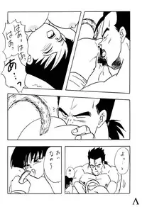 [Chirigami Goya / Fusuma Goten] Y (Dragonball)