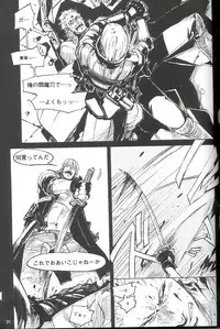 [Devil May Cry] Royal Guard (Dante X Vergil)