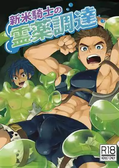 Shinmai Kishi no Reiyaku Choutatsu