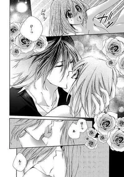 鬼畜兄弟の悶絶調教~私はいいなり奴隷~