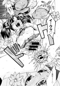 COMIC Megastore 2006-11