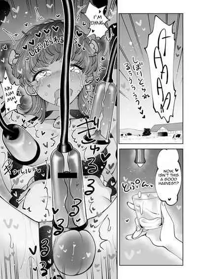 Bokujou Play Pink Blue | Ranch Play Pink Blue