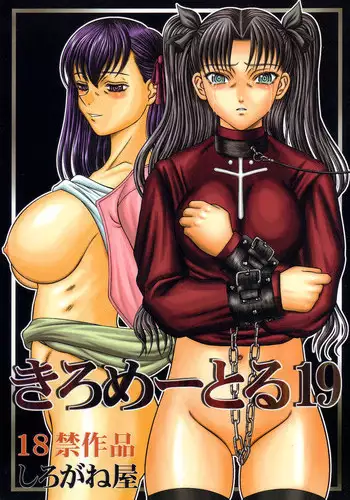 (C67) [Shiroganeya (Ginseiou)] Kilometer 19 (Fate/stay night)