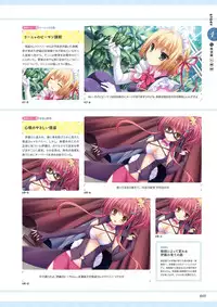 Unmei Senjou no φ Visual Fanbook