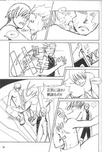 [Devil May Cry] Royal Guard (Dante X Vergil)