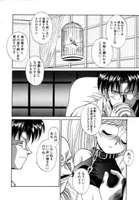 [Kamogawa Tanuki] INNOCENCE