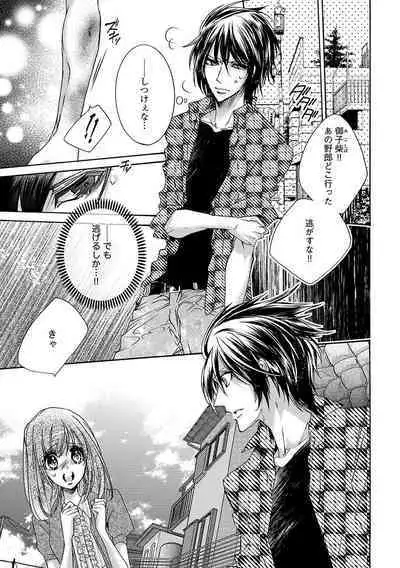 鬼畜兄弟の悶絶調教~私はいいなり奴隷~