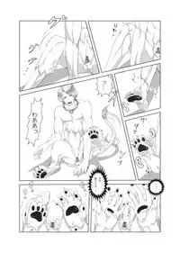 [Yakanusu] my little littlr cat