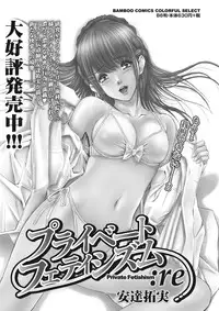 Monthly Vitaman 2015-11 [Digital]