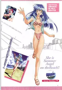 (一般画集) [F&C] バーチャコール シリーズ設定原画集