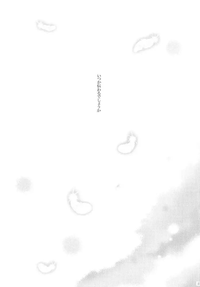 Gundam Seed - When You Wish Upon A Star