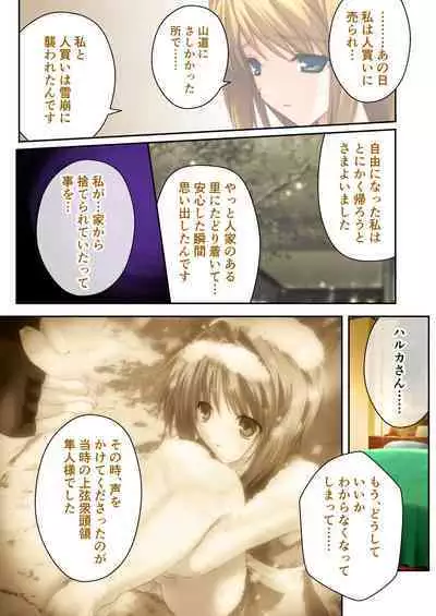 超昂閃忍ハルカ デジカルコミカライズ ～龍の力の継承者と美女三忍～ モザイクコミック総集編