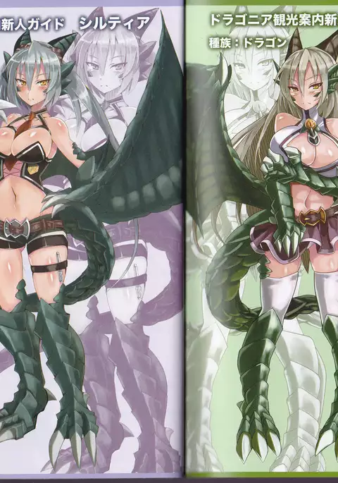 Monster Girl Encyclopedia World Guide - Side I: Dragonia