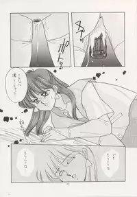 (C43) [Secret Society M (Kitahara Aki)] ANICE (Sonic Soldier Borgman)