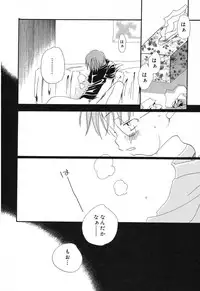 [Anthology] Pure Petit Vol. 12