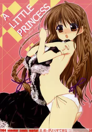 (C66) [Shinobi no Yakata, Yume yori Suteki na (Various)] A LITTLE PRINCESS (Sister Princess)