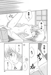 [Anthology] Pure Petit Vol. 18