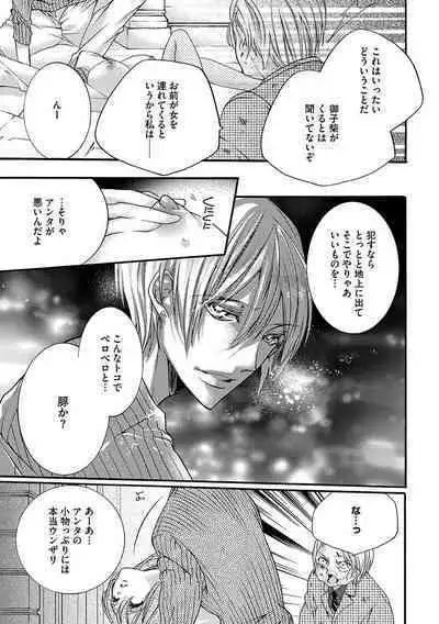 鬼畜兄弟の悶絶調教~私はいいなり奴隷~