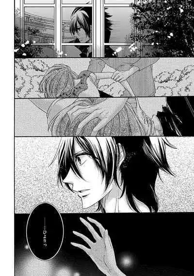 鬼畜兄弟の悶絶調教~私はいいなり奴隷~