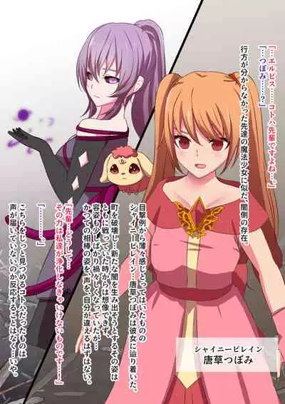 変身回数に限りがある魔法少女は悪の手を取り堕ちていく。