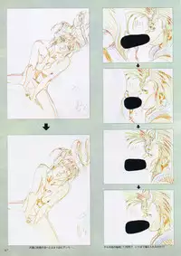 VIPER Series Official Artbook II