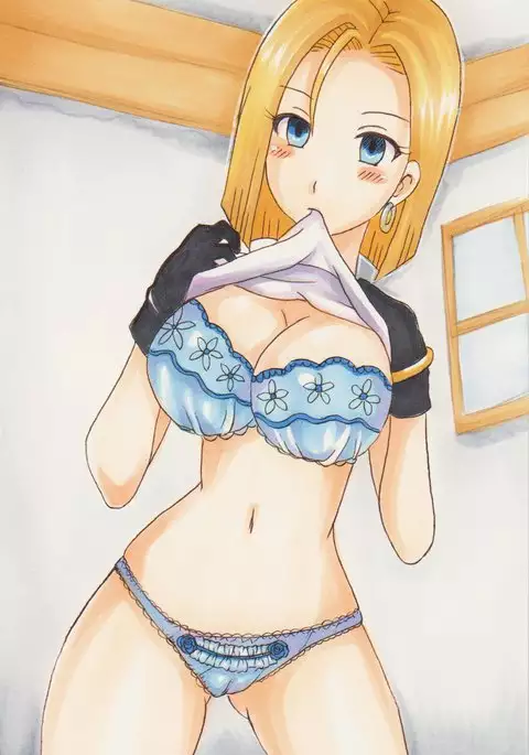 Okusama Tegaki Illust-shuu