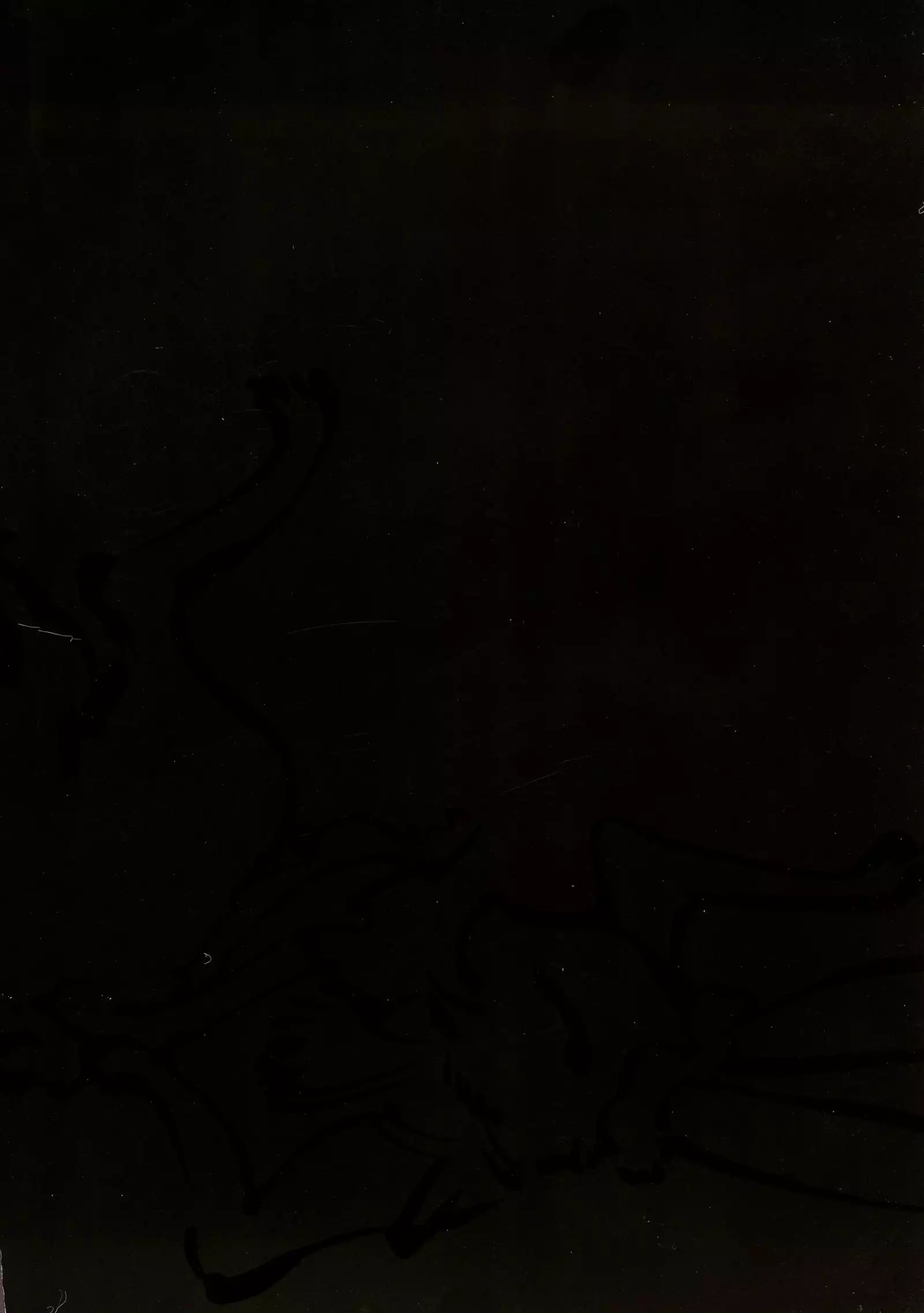 Seifuku Giga ~ Shian Cosplay Tanhenshuu ~