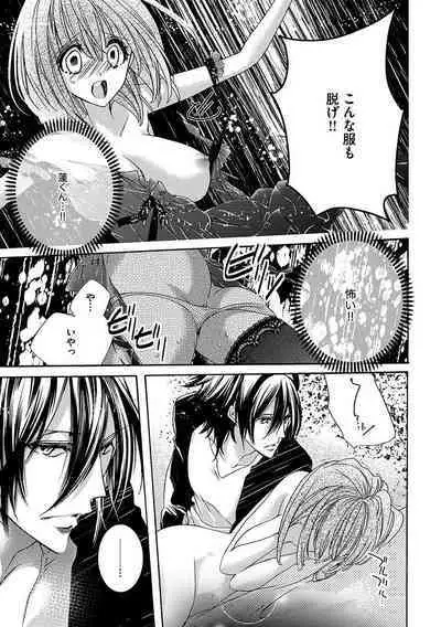 鬼畜兄弟の悶絶調教~私はいいなり奴隷~