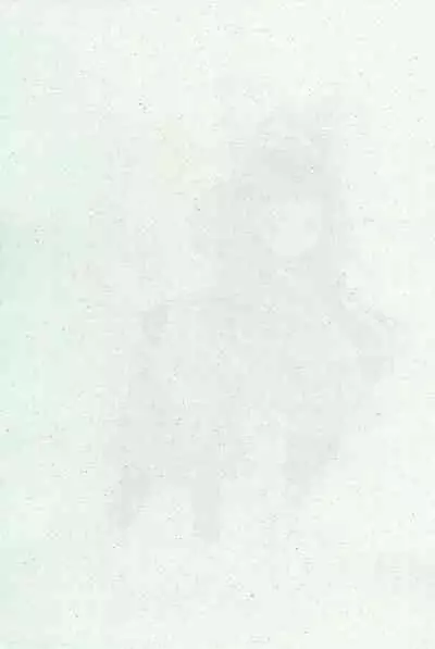 Momoiro Settoudan Vol. 2