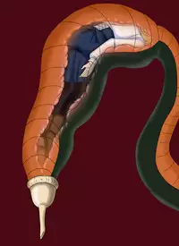 セルの丸呑み吸収