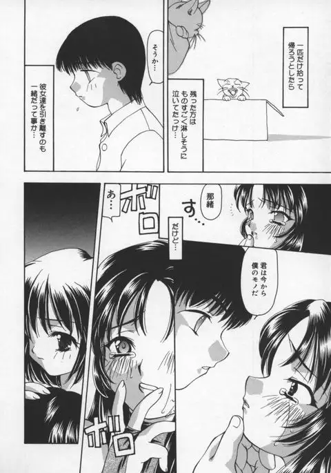 Cats On The Black Cage