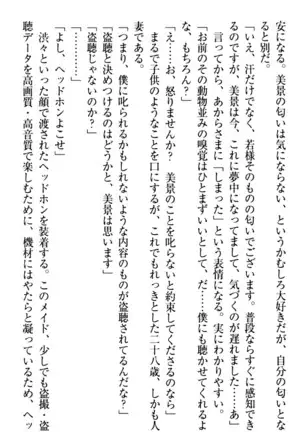 年上メイドの新婚日記