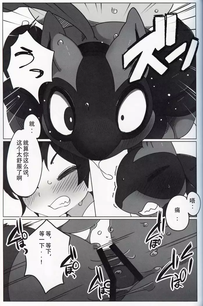 Master no Album | 主人的相册