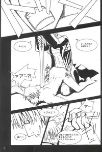 [Devil May Cry] Royal Guard (Dante X Vergil)