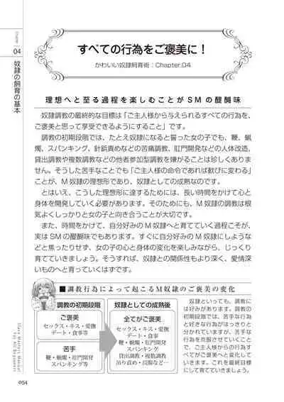 Zero kara Hajimeru SM Manual Kawaii Dorei Shiikujutsu