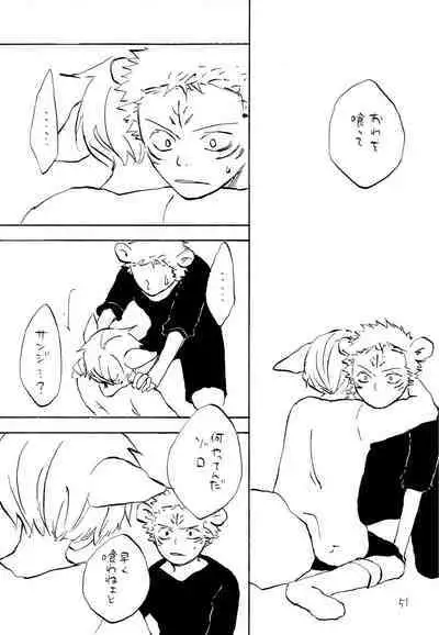 海の虹が沈む森