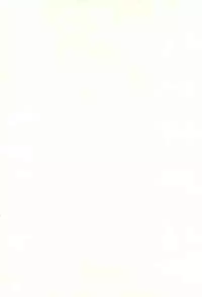 Momoiro Settoudan Vol. 2