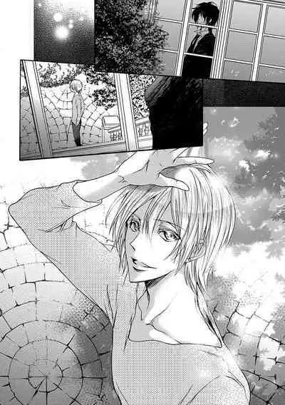 鬼畜兄弟の悶絶調教~私はいいなり奴隷~