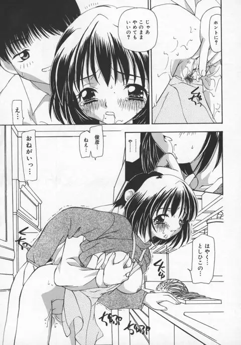 Cats On The Black Cage