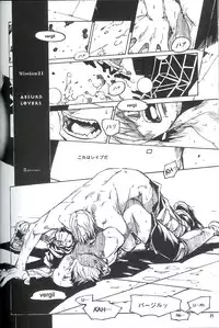 [Devil May Cry] Royal Guard (Dante X Vergil)