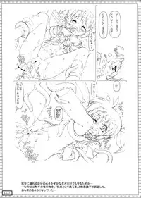 (COMIC1☆3) [Testa Kitchen (Testa)] nanO RAISER (Mahou Shoujo Lyrical Nanoha)