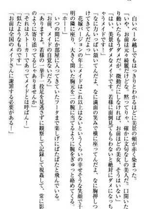 年上メイドの新婚日記