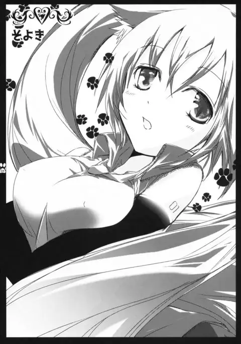 Nyan Nyan Daisakusen