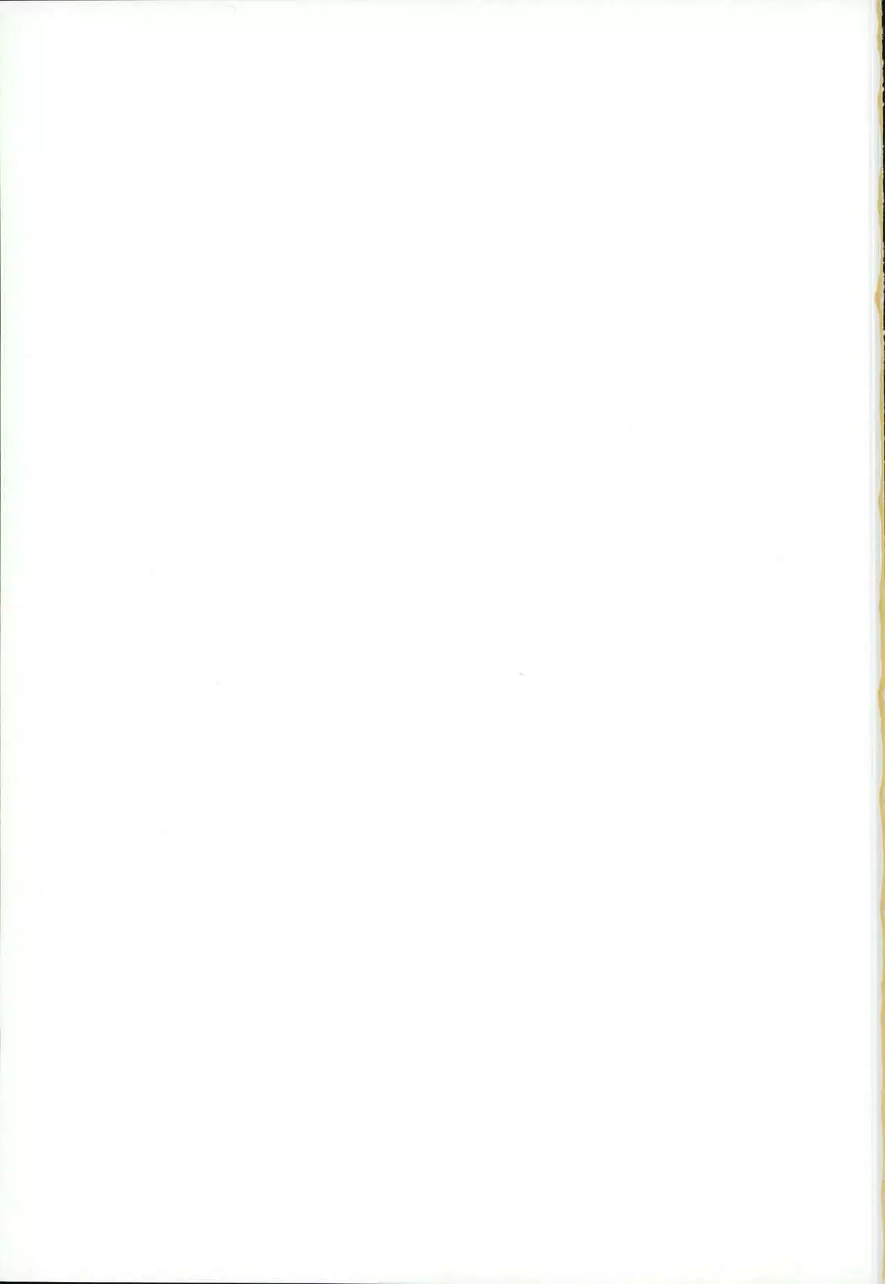 Mou Hitori no Kimi e